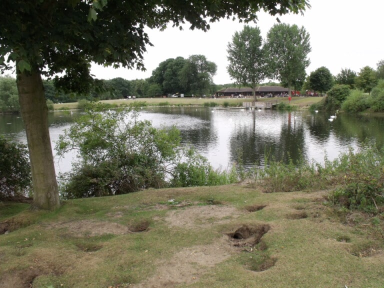 The Lake, Ferry Meadows Country Park