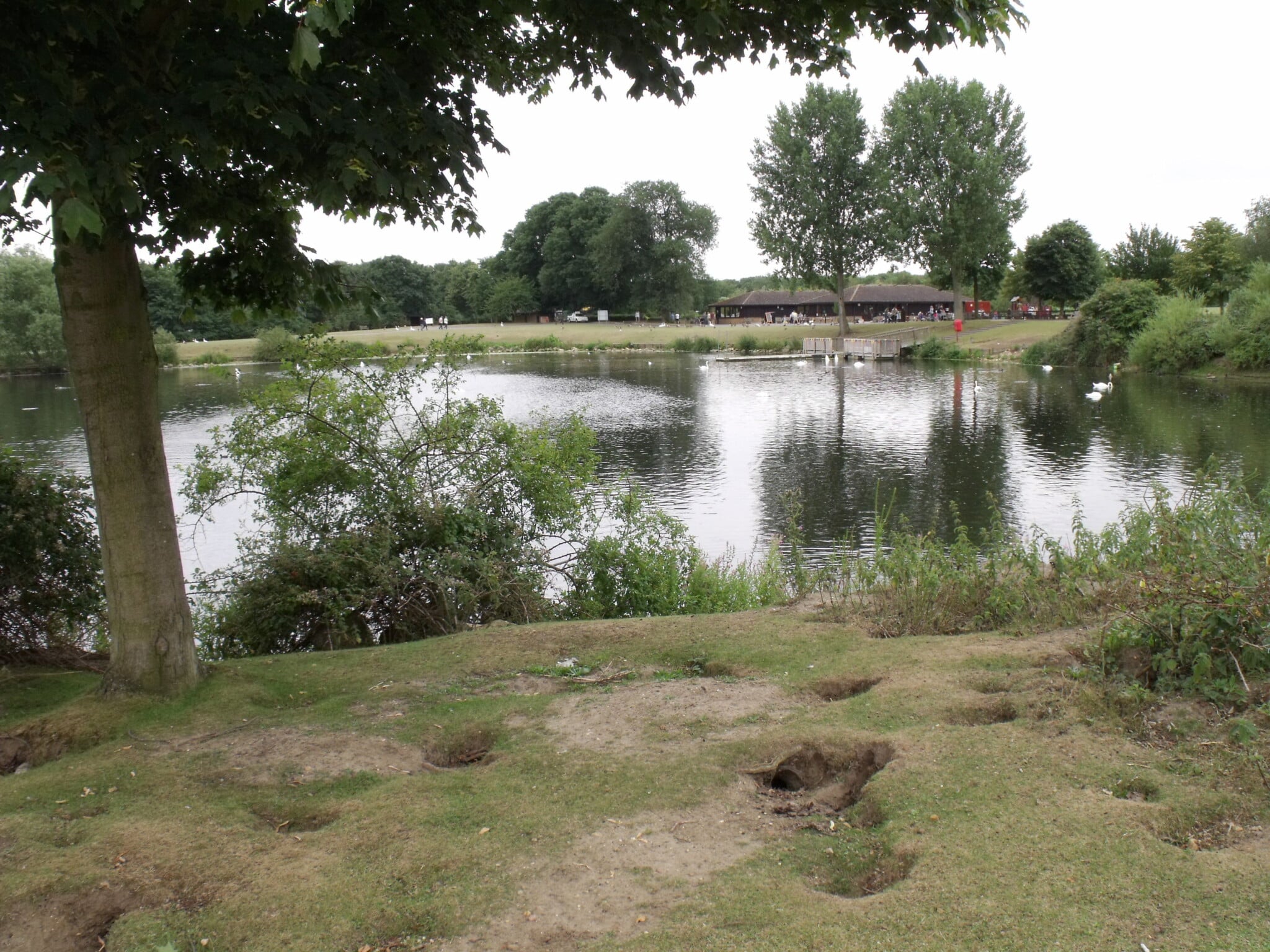 The Lake, Ferry Meadows Country Park
